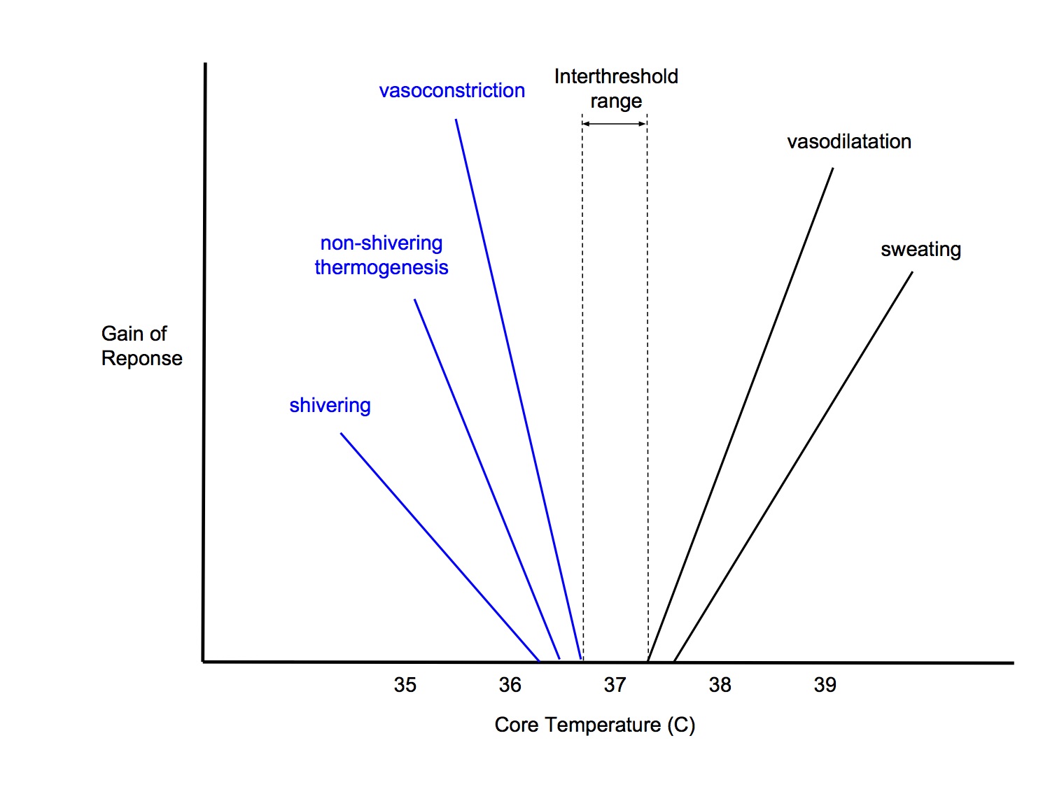 Thermoregulation